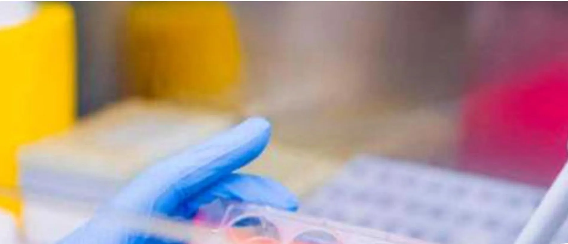 Laboratory