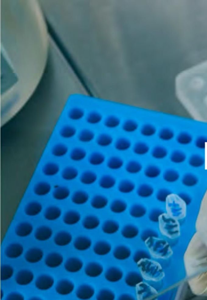 Pipetting reagents into sample tubes