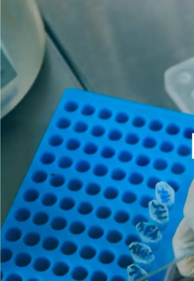 Pipetting reagents into sample tubes