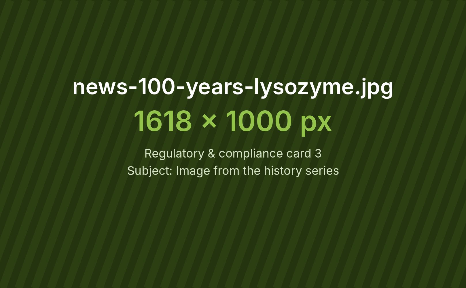 Historical laboratory image from the lysozyme series